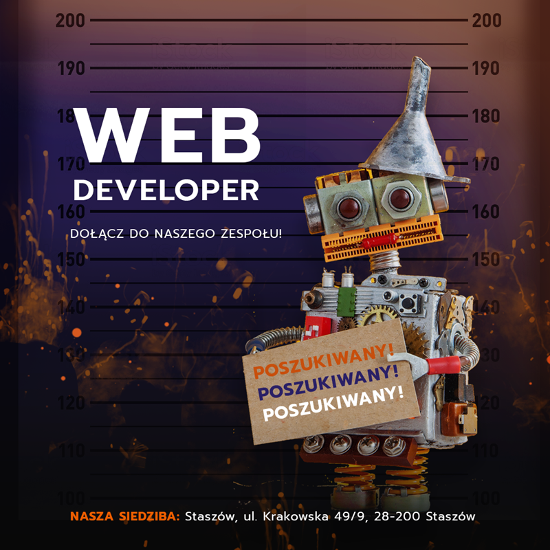 Web developer